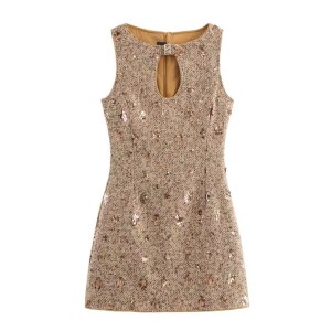 Ladies Sequin Dress